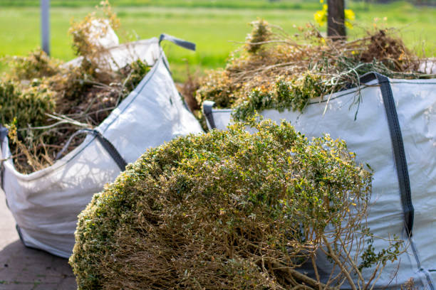Best Junk Removal for Businesses  in Lucerne Valley, CA